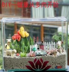 上海清繪園藝養(yǎng)護服務(wù) 以專業(yè)匠心，守護城市綠意之美